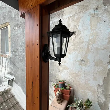 La Casa Del Tulipano