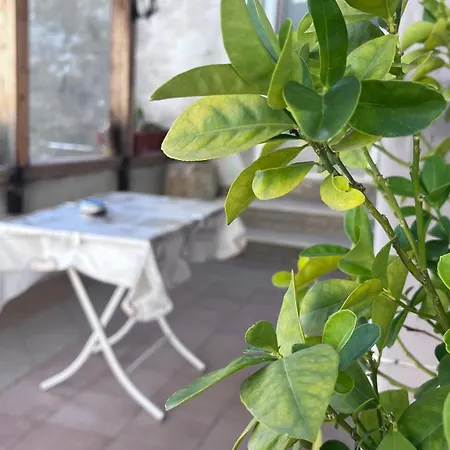 La Casa Del Tulipano Lägenhet *