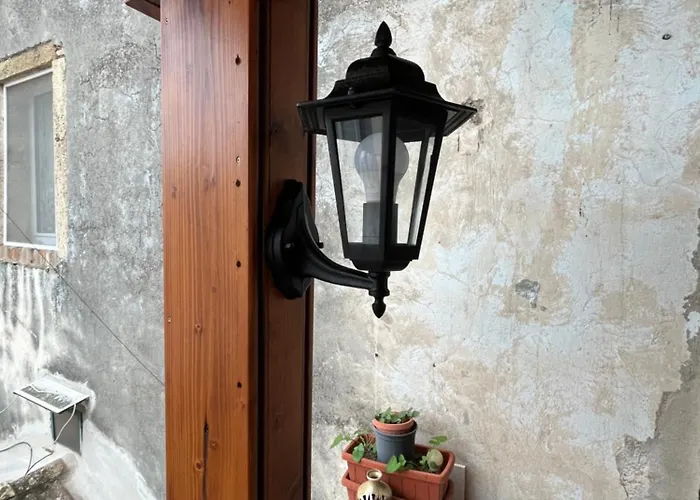 La Casa Del Tulipano