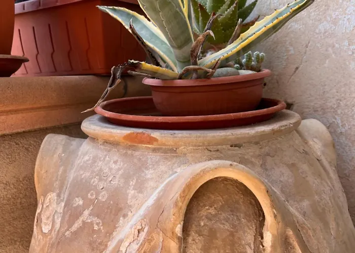 La Casa Del Tulipano Bernalda